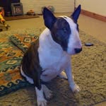 Karen Raitt - @karenraitt - Instagram