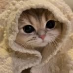 Karen Ramon - Facebook