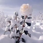 Karen Kay Ranes - @karen.walls48 - Instagram