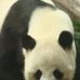 Karen Ranes - Facebook