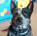 Karen Rawls - Facebook