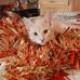 Karen Reaume - Facebook