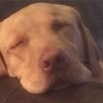 @karen.redpath - Instagram