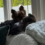 Karen Relyea Ciminelli - @karcim - Instagram