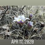 Karen Rempel - @karenjrempel - Instagram