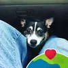karenrexwilliams - @karenrexwilliams - TikTok