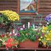 Karen Ricketts - Facebook