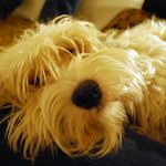Karen Ricketts - @karen.ricketts.64 - Instagram