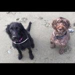 Karen Ricketts - @rickettscottage320 - Instagram