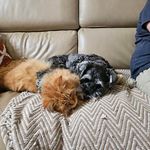 Karen Ricketts - @karen.ricketts.372 - Instagram
