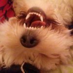 Karen Rigg - @karendawn1724 - Instagram