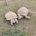 Karen Rigg - Facebook