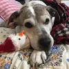 karenrigg935 - @karenrigg935 - TikTok