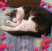 Karen Rioux - Facebook