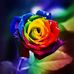 Karen Ritter - Facebook