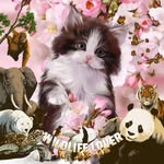 Karen Rivelli - @roccobellamama - Instagram