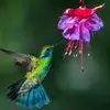 Karen Roache289 - @karenroache289 - TikTok