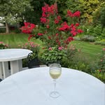 Karen Roback - @roback.karen - Instagram