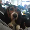 Karen Robert - @user93954915 - TikTok