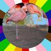 Karen Eastburn Rodden - @ker1953 - TikTok