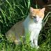 Karin Rollinger - Facebook