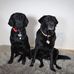 Karen Rooke - Facebook