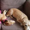 karenroscoe265 - @karenroscoe265 - TikTok