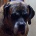 Karen Rounds - Facebook