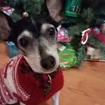 Karen Ruark Arrasmith Hite - @karen.r.hite - Instagram
