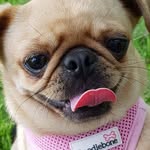 Karen Sammon - @karen.sammon.1 - Instagram