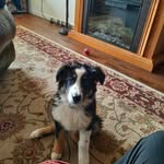 Karen Sammon - @sargiesmom - Instagram