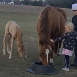 Karen Sammons - @karen.sammons.58 - Instagram