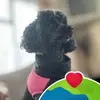 karensammon7 - @karensammon7 - TikTok