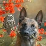 Karen Lee Samuelson Covill - @karenls331 - Instagram