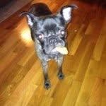 Karen N Adam Satchell - @petmomma - Instagram