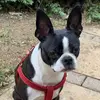 Karen Satchell609 - @karensatchell3 - TikTok