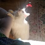 Karen R. Scheel - @scheelkaren - Instagram