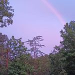Karen Scheel - @karenscheel2023 - Instagram