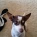 Karen Scheetz - Facebook