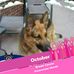Karen Schelling Manning - Facebook