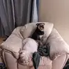bubbles - @karenschellenberg66 - TikTok