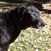 Karen Schellenberg - Facebook