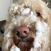 Karen Schellenberg - Facebook