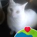 Karen Schellenberger - Facebook