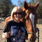 Karen Schieber - @karen.e.schieber - Instagram