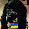 karenschlabach481 - @karenschlabach481 - TikTok
