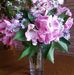 Karen Schmidlin - Facebook