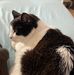 Karen Schoonmaker - Facebook