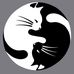 Karen Schweizer - Facebook