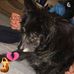 Karen Scribner-Jones - Facebook